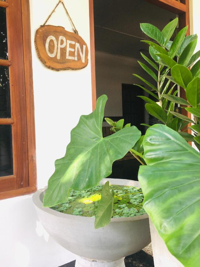 The Lagon House ディックウェラ エクステリア 写真